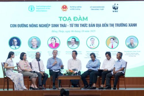 Hội nghị quốc tế: Nông nghiệp sinh thái ĐBSCL - giải pháp trọng tâm ứng phó biến đổi khí hậu