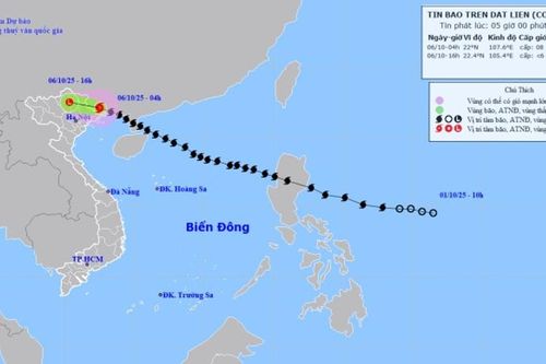 Bão số 11 MATMO giảm cấp, suy yếu thành vùng áp thấp khi vào vùng núi Bắc Bộ