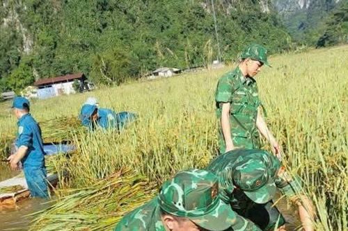 Cán bộ chiến sĩ Đồn biên phòng tỉnh Tuyên Quang và Cao Bằng tích cực giúp dân ứng phó bão số 11