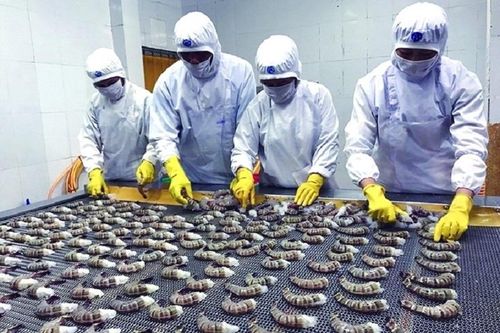9 tháng, kim ngạch xuất khẩu thủy sản đạt 8,33 tỷ USD