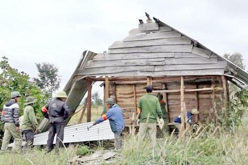 Tăng cường bảo vệ rừng, xử lý các hành vi xâm hại tài nguyên rừng
