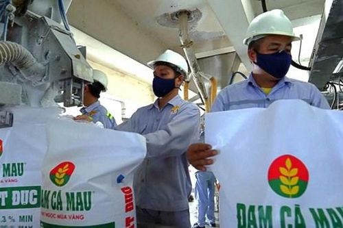 Đạm Cà Mau (DCM): Vượt 74% kế hoạch lợi nhuận cả năm chỉ sau 9 tháng
