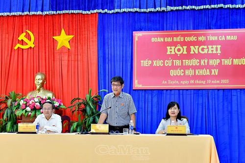 Đại biểu Quốc hội tỉnh tiếp xúc cử tri tại phường An Xuyên