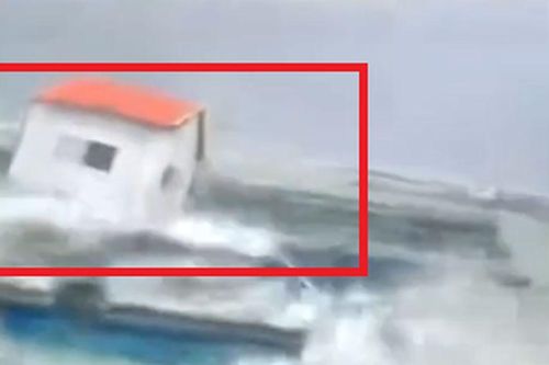 Sức gió 'khủng hoảng' của bão Matmo khi đổ bổ khiến người xem cũng phải khiếp vía