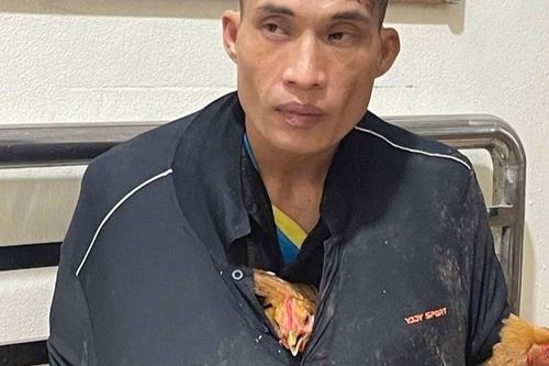 Bắt Lầu Văn Bình, Trương Văn Trữ ăn trộm gà