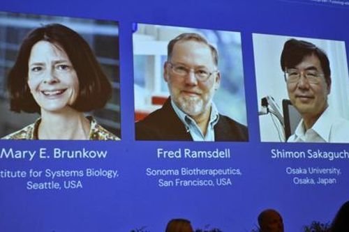 Nobel Y sinh 2025 trao cho các nhà khoa học có nghiên cứu đột phá về hệ miễn dịch