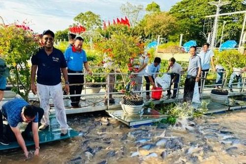 Thúc đẩy nông nghiệp sinh thái và chuyển đổi hệ thống lương thực, thực phẩm