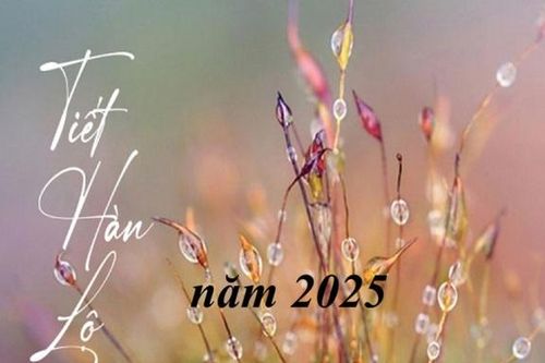 Từ ngày 8/10 bước vào tiết khí Hàn Lộ 2025, bài trí phong thủy ngôi nhà làm ngay mẹo này để thu hút vận may