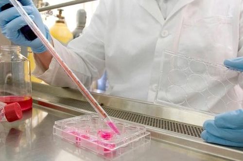 Bộ Y tế siết chặt quản lý tế bào gốc 'xách tay', xây dựng tiêu chuẩn quốc gia về tế bào và sản phẩm từ tế bào