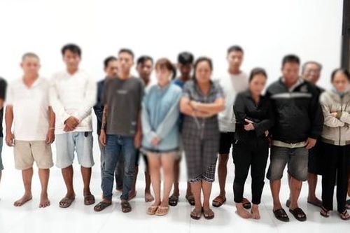 Triệt xóa đường dây đánh bạc giữa rừng cao su