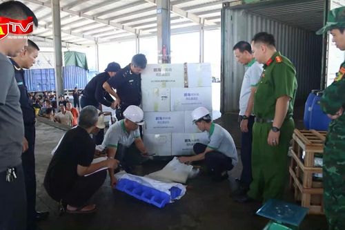 Chiêu 'tráo hàng' tinh vi qua cửa khẩu chính ngạch bị lật tẩy