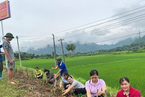 MTTQ Việt Nam tỉnh Tuyên Quang: Đẩy mạnh tuyên truyền hướng về cơ sở