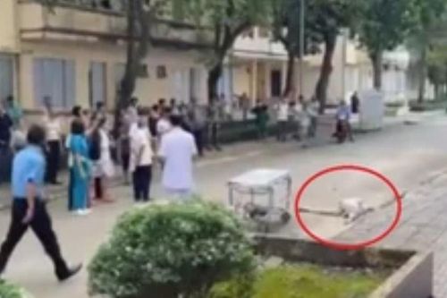 Cụ ông tử vong dưới sân bệnh viện ở Đồng Nai, nghi rơi lầu