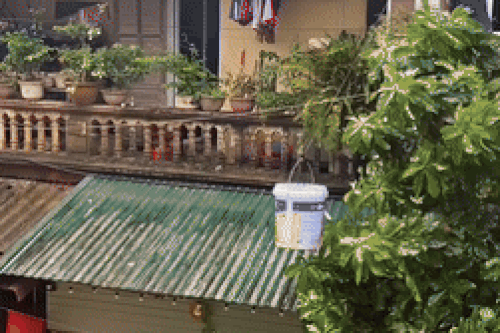 Ấm lòng cảnh lấy thùng sơn đưa đồ ăn cho hàng xóm bị cô lập vì lũ