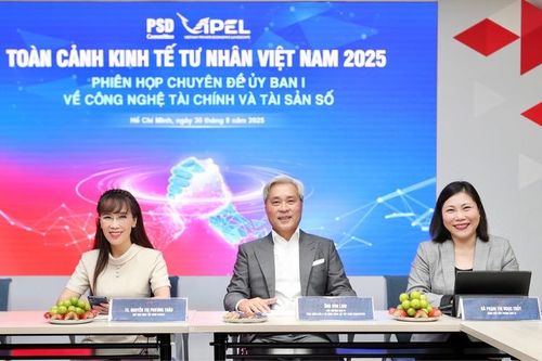 'Toàn cảnh Kinh tế tư nhân 2025': Chính phủ và doanh nghiệp đồng hành phát triển đất nước