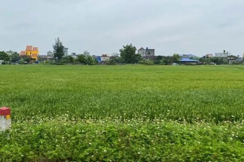 Sẽ có cơ chế thưởng khi bàn giao đất thu hồi trước thời hạn
