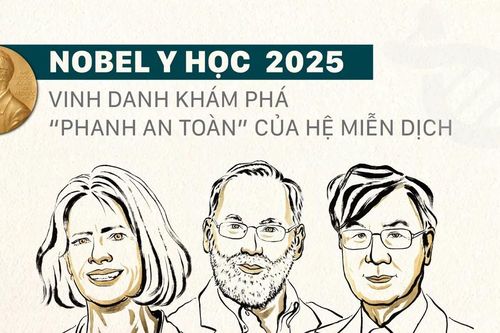 Nobel Y học 2025 vinh danh khám phá 'phanh an toàn' của hệ miễn dịch