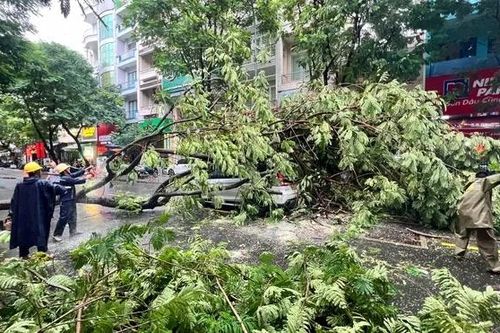 Khẩn trương khắc phục thiệt hại do mưa lớn, giông gió tại phường Đông Hòa
