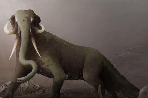 Rợn người mãng xà khổng lồ dài hàng chục mét gieo sợ hãi khắp châu Phi