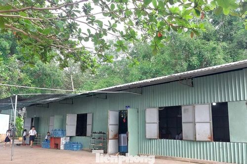 Trường học tạm bợ giữa lòng TPHCM: Mỗi ngày con đi học là một ngày 'bất an'