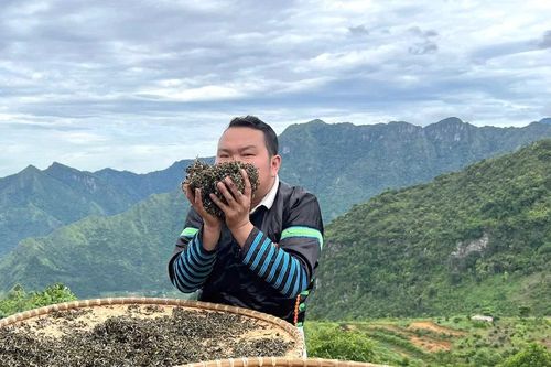 Cử nhân Luật biến di sản thành sinh kế ở 'bản làng trên mây'