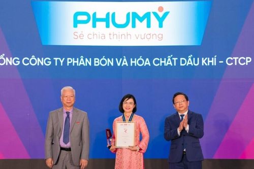 PVFCCo - Phú Mỹ tiếp tục đạt danh hiệu kép: Top 50 Thương hiệu mạnh và Top 50 Công ty kinh doanh hiệu quả nhất năm 2025