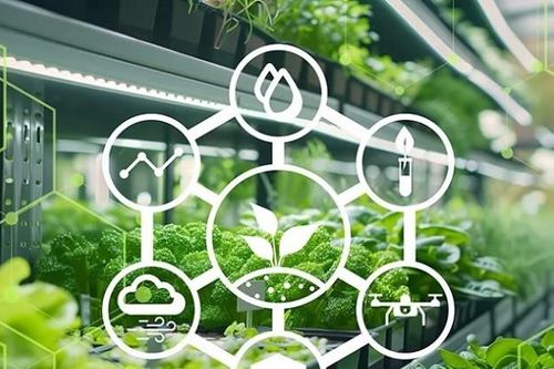 Công bố Top 10 Công ty uy tín ngành Nông nghiệp Công nghệ cao năm 2025