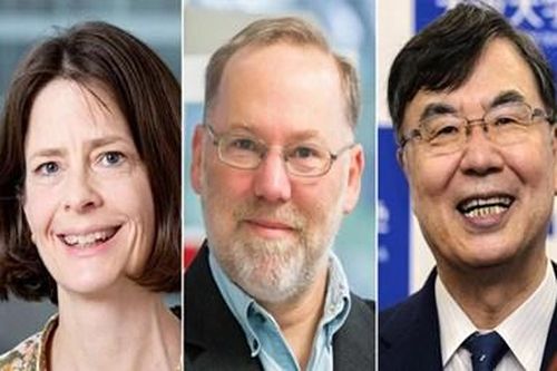 Đóng góp đột phá của 3 nhà khoa học Mỹ, Nhật vừa đoạt giải Nobel Y học 2025