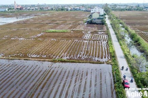 Nhiều xã của Nghệ An khảo sát địa điểm lập quy hoạch khu tái định cư phục vụ đường sắt tốc độ cao Bắc - Nam