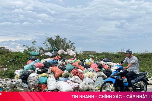 Tuyến đê La Giang 'ngập' rác sau bão lũ