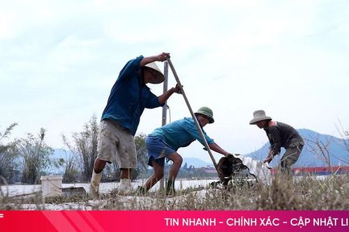 Ốc đảo Hồng Lam tập trung khôi phục thiệt hại sau bão lũ