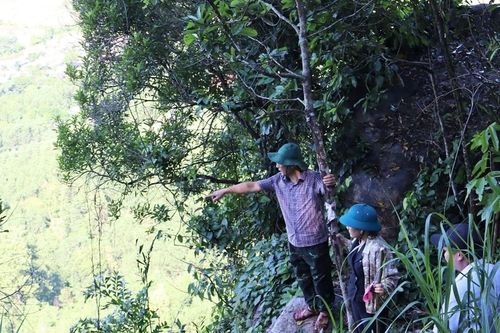 Quảng Ngãi: Các khối đá trên núi Gò Ui có nguy cơ đổ sập