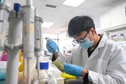 Chảy máu chất xám ngược: Nhân tài Trung Quốc rời Mỹ hồi hương