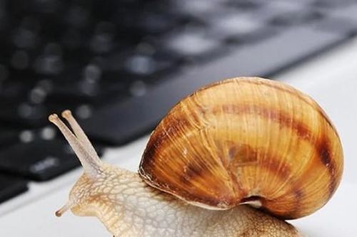 PC Windows 10 và 11 đẹp hơn nhưng… chậm hơn vì hai tính năng này
