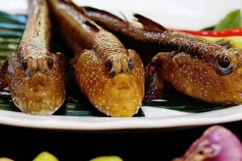 Đặc sản miền Tây: Loài cá biết leo cây, bò trên bùn mà nướng muối ớt lại ngon mê ly
