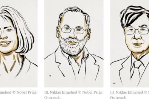 Giải Nobel Y Sinh 2025 mở ra kỷ nguyên mới cho ngành Miễn dịch học