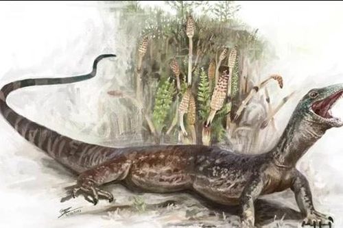Lộ diện 'quái vật' 167 triệu năm tuổi, bí ẩn tiến hóa nửa rắn, nửa thằn lằn trên đảo Skye