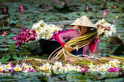 Đặc sản mùa nước nổi miền Tây khiến dân thành phố 'phát thèm'