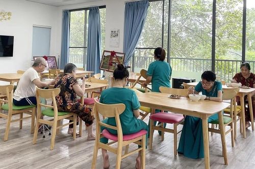 Trường học tuổi xế chiều: Lời giải kép cho nỗi lo già hóa và lãng phí đất công