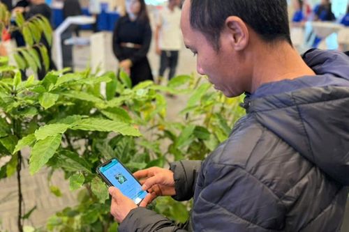 Ngày 10/9 chính thức trở thành ngày truyền thống của Công ty CP Phân bón Dầu khí Cà Mau