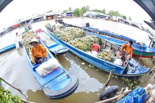 Nhộn nhịp chợ nổi Vĩnh Phong