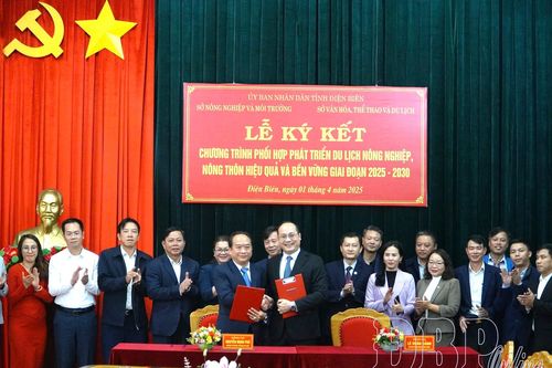 Phát triển du lịch nông nghiệp