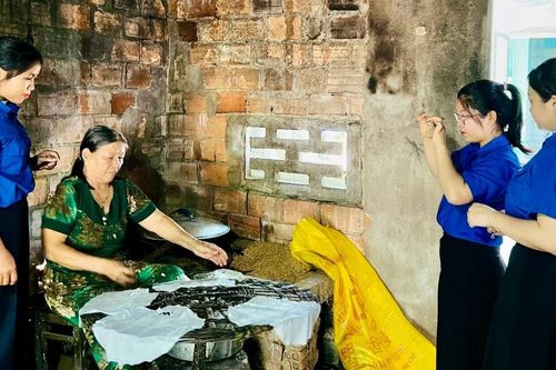Bình chọn trực tuyến 10 video clip tham gia cuộc thi 'Thanh niên Gia Lai với phát triển du lịch'