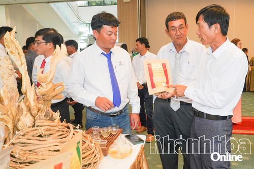 Thương mại điện tử - Đòn bẩy bứt phá kinh tế số - Kỳ 2: Doanh nghiệp vào 'đường đua số'