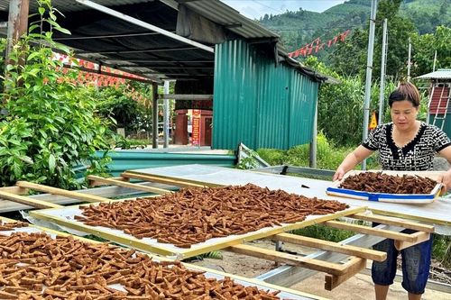 Bức tranh kinh tế ở Cốc Lầu