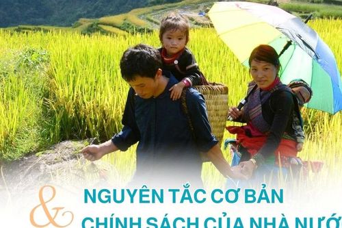 Nguyên tắc cơ bản và chính sách của Nhà nước về bình đẳng giới