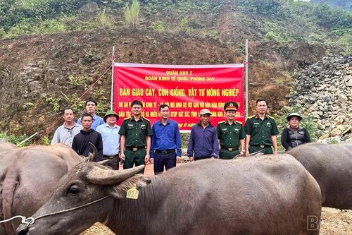 Đoàn Kinh tế - Quốc phòng 345 cấp con giống, vật tư nông nghiệp hỗ trợ hộ dân vùng dự án