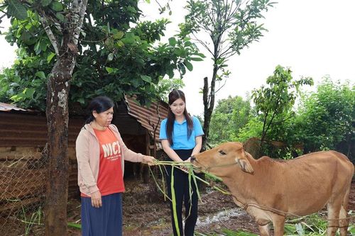 Tiếp sức cho phụ nữ nghèo vươn lên