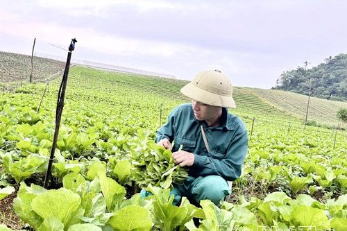 Đẩy mạnh chuyển đổi số trong doanh nghiệp, hợp tác xã