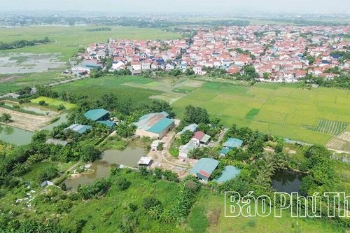 Xã Vĩnh An gỡ nút thắt trong vi phạm đất đai